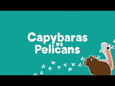 Introducing: Capybaras vs Pelicans