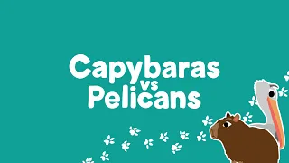Introducing: Capybaras vs Pelicans