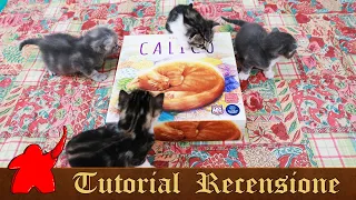 Tutorial e Recensione Calico - Creando la Trapunta Perfetta per Gatti
