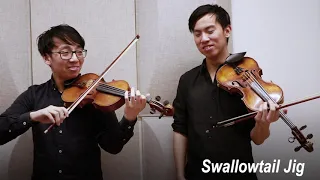 Classical vs Folk Violin