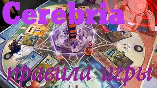 Cerebria The Inside World - подробные правила настольной игры Церебрия, Внутренний мир.
