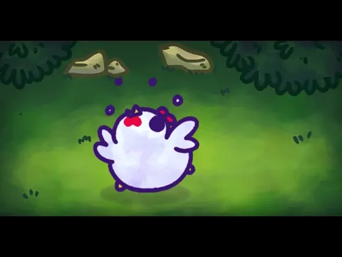 Video van Chichens