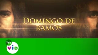 Domingo De Ramos Desde La Catedral Metropolitana De Medellín - Tele VID