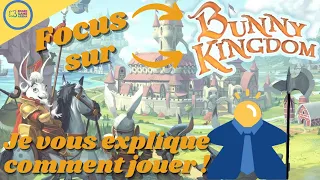 Focus sur Bunny Kingdom ! Conquête de territoire chez les lapins !