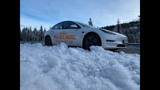 2021 Tesla Model 3 Long Range Dual Motor med varmepumpe