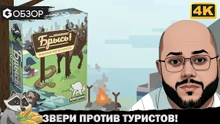 БРЫСЬ - ОБЗОР настольной игры Scram | Geek Media