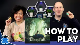 Dreyfall - How to Play. Complete, Clear and Concise Board Game Tutorial.