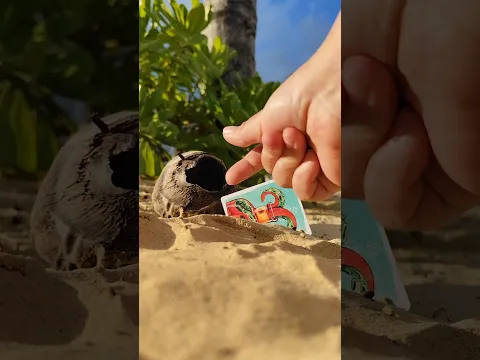 And just like magic, my cup is full again that's beach magic for you #shorts #boardgames