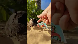 And just like magic, my cup is full again that's beach magic for you #shorts #boardgames