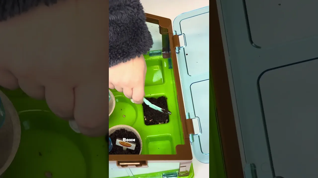 Детская мини-теплица с солнечной панелью