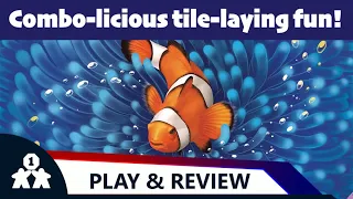 Shallow Sea solo play and review (review copy provided)