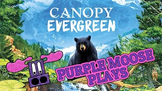 Purple Moose Plays...Canopy: Evergreen (solo) - review copy
