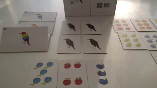 Aves - przebieg gry