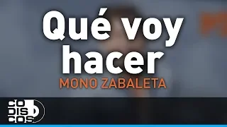 Que Voy Hacer, Mono Zabaleta Y Daniel Maestre - Audio