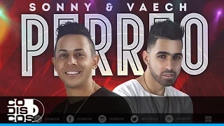 Sonny & Vaech - Perreo | Audio