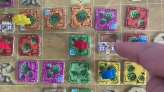 Citrus Short Rules Explanation