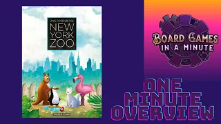 One Minute Overview of New York Zoo