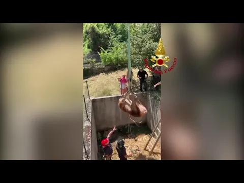 Youtube Preview