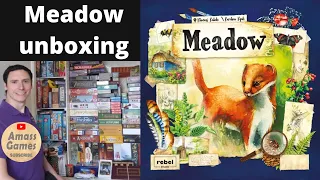 Meadow beautifully illustrated boardgame Rebel Studio 1-4 player unboxing teaser trailer AmassGames