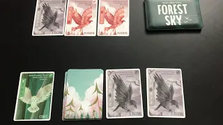 Forest Sky game review. Button Shy Game designed by Scott Allen Czysz.