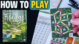 Forage | How to Play | Learn to Play in 13 Minutes! | A Cozy Roll & Write Board Game