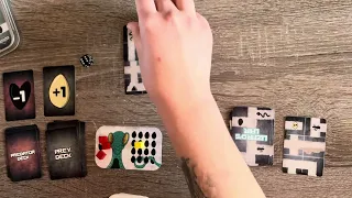Lizard’s Lair How to Play and Walkthrough