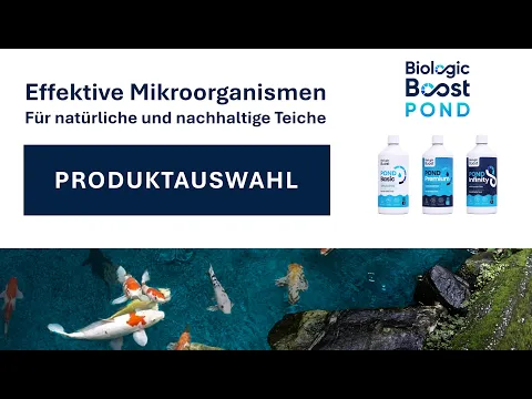 youtube-video-thumbnail