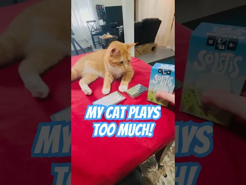 Cat plays too much #boardgame #funny #familygames #cat #cute #solstis #hachette #shorts #gamenights