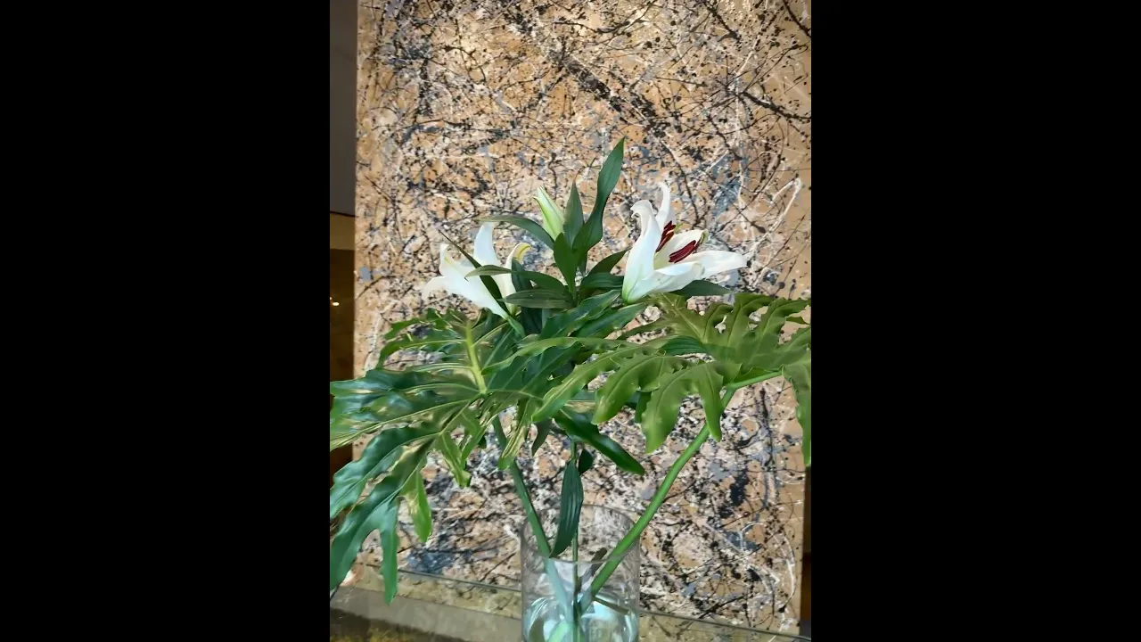 Video de DEYA antiques & art