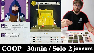 Mini Rogue le tuto des règles avec Nuts