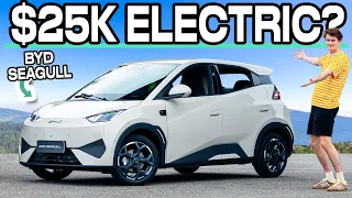 An EV For Less Than a Kia Picanto? BYD Seagull 2025 Preview Drive