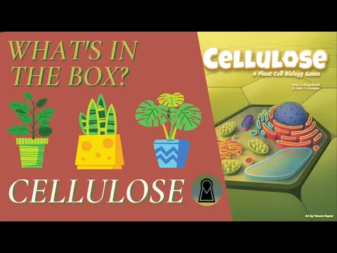 What's In The Box? Cellulose A Plant Cell Biology Game Kickstarter Unboxing