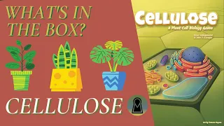 What's In The Box? Cellulose A Plant Cell Biology Game Kickstarter Unboxing