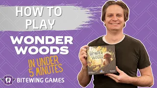 How to Play Wonder Woods