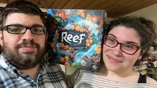 DGA Plays Board Games: Reef