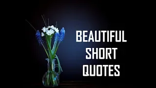 Beautiful Short Quotes | Life Lessons Beautiful Short Quotes | Life Lessons