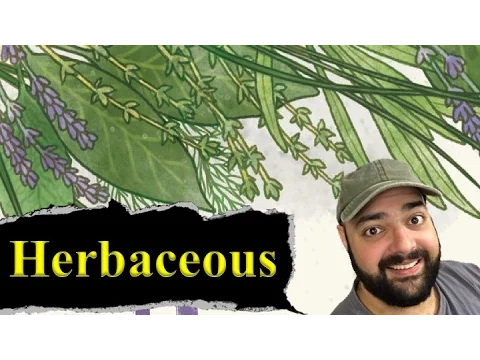 Herbaceous Review - with Zee Garcia