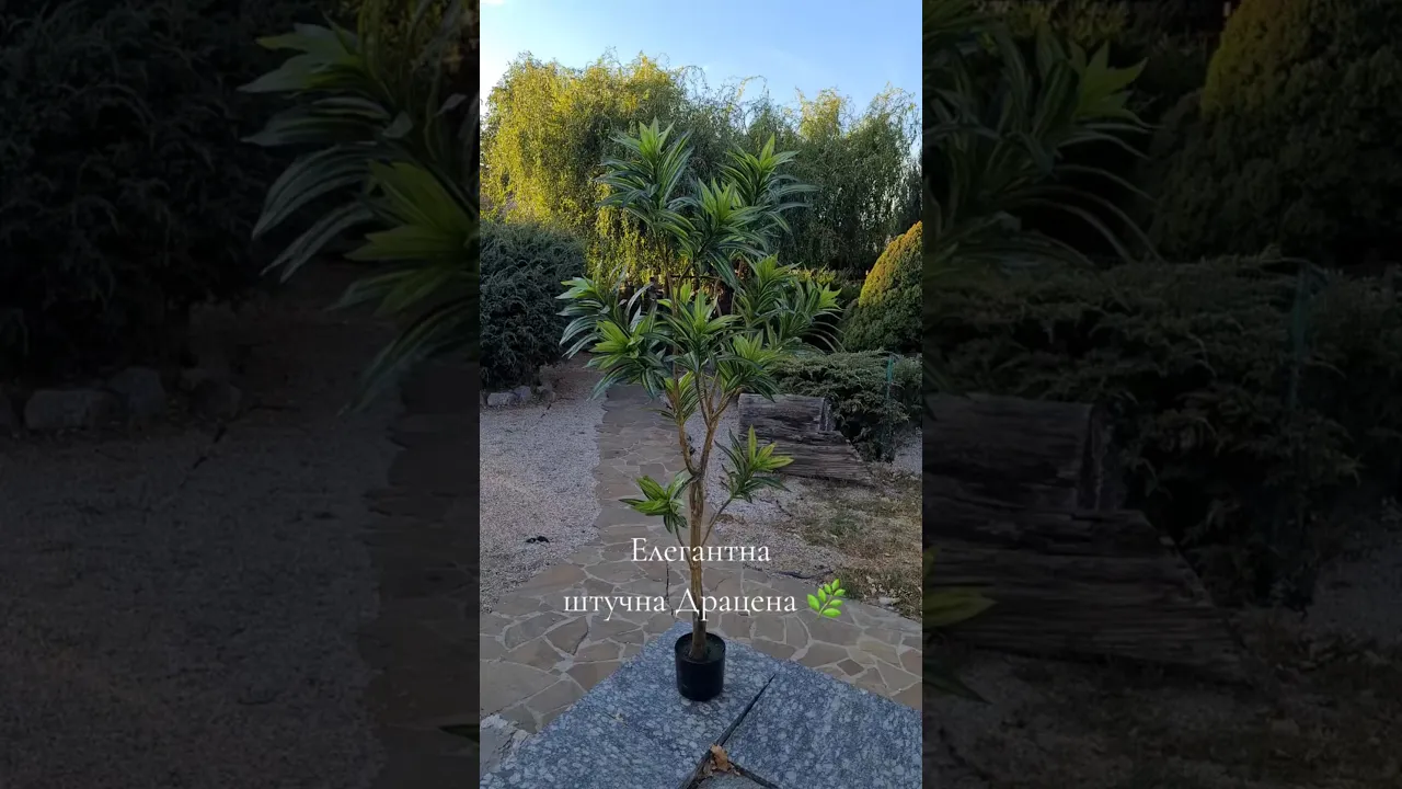 Artificial Plant Dracaena Tree H155cm NKoop EEG