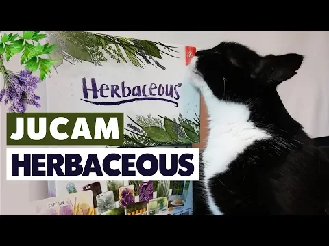 Jucam o partida de Herbaceous - Joc de societate - Boardgame
