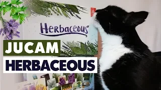 Jucam o partida de Herbaceous - Joc de societate - Boardgame