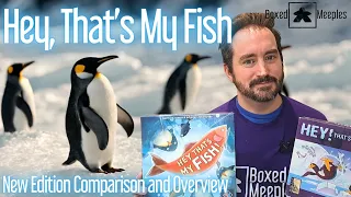 Hey, That's My Fish - New Edition Comparison and Overview. Is this the best version of a classic?