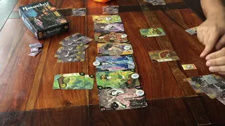 Hanamikoji - board game tutorial by JustLetTerenceExplainIt