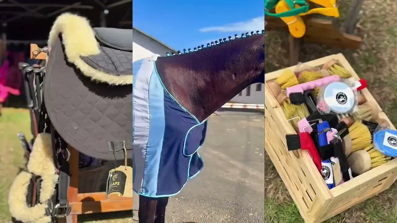 Video de Talabarteria Olivia