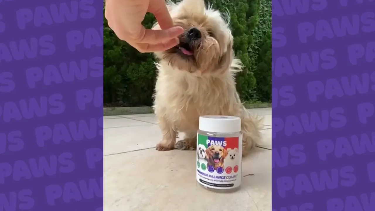 Vídeo de PAWS Pet 