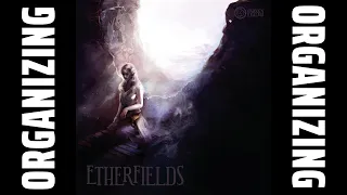 Organizing Etherfields (All-In, Fully Sleeved, Fully Expanded, Play Mat, Coin Capsules) SideGame LLC