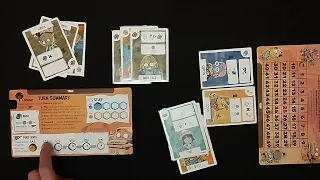 Fort #howtoplay #review #boardgame #tabletop AmassGames #games #deck #cute #cards #games
