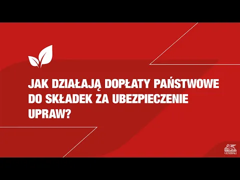 youtube-video-thumbnail