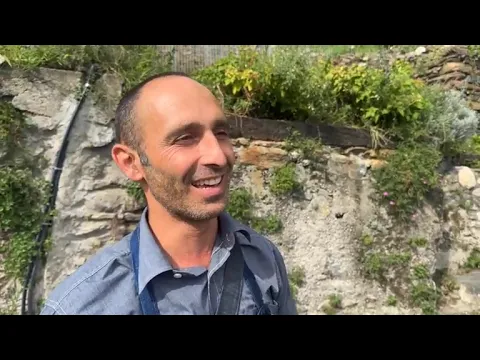 Youtube Preview