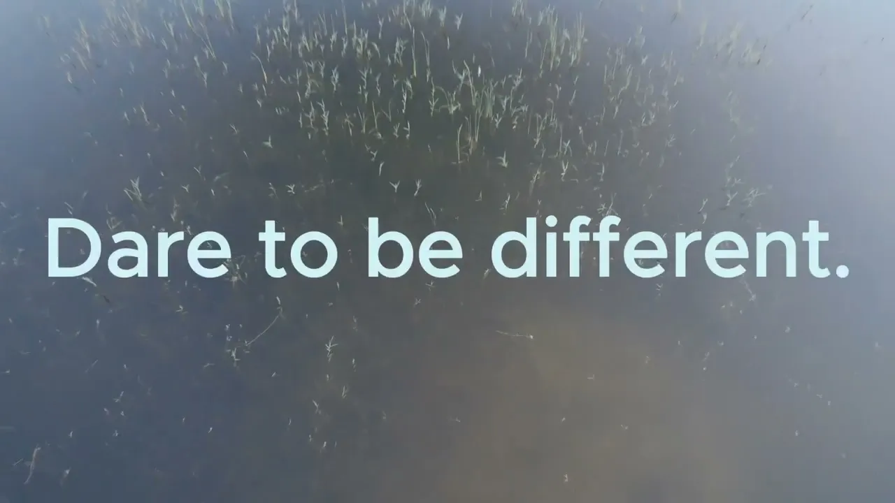 Vídeo de VULP.CO | Peças essenciais com conforto impecável