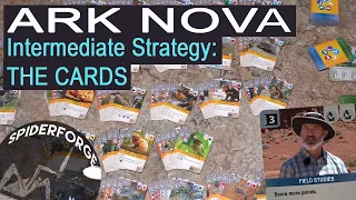 Ark Nova: Intermediate Strategy: THE CARDS